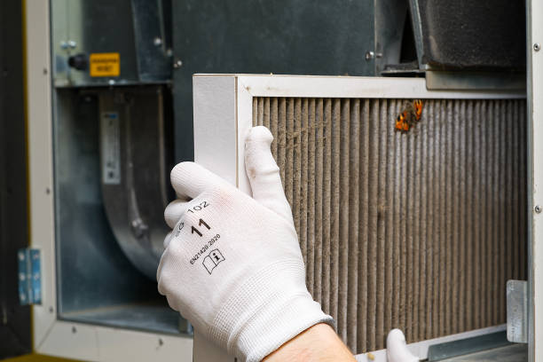 Best Professional Duct Cleaning Services  in Bastrop, LA