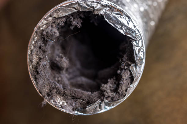 Best Local Air Duct Cleaning Services  in Bastrop, LA