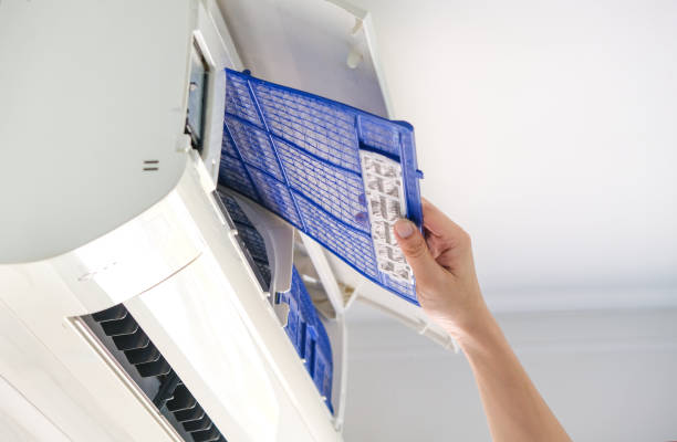 Best Home Air Vent Cleaning  in Bastrop, LA