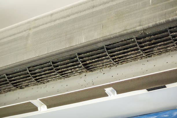 Best Residential Air Duct Cleaning  in Bastrop, LA